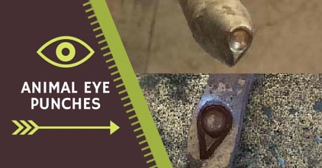 animal eye punches